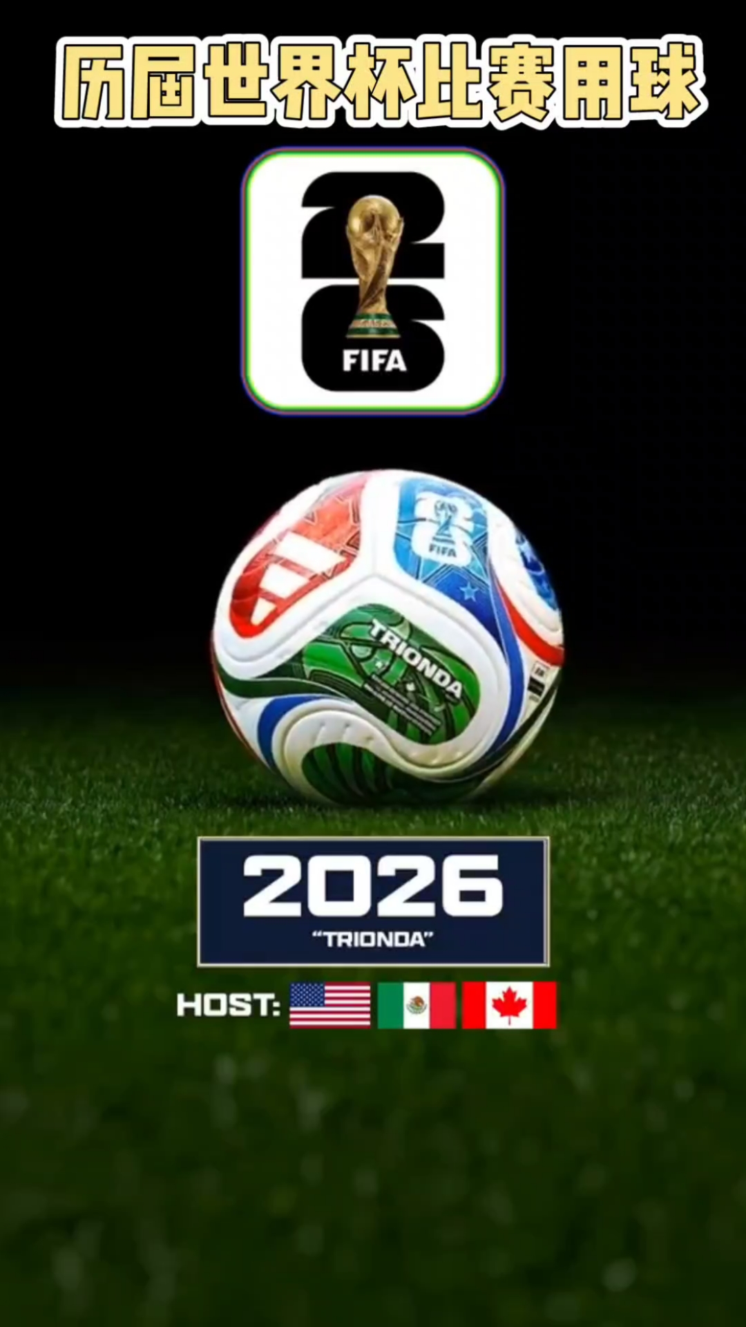 给新手的简 给新手的简